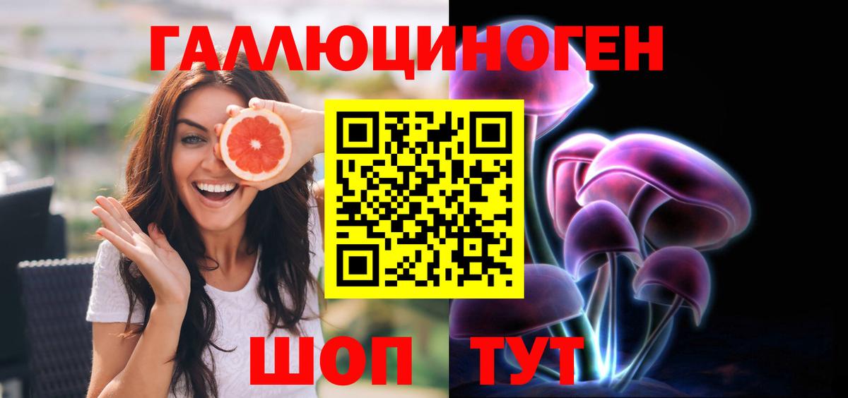 Галлюциногенные грибы Psilocybe Лиски